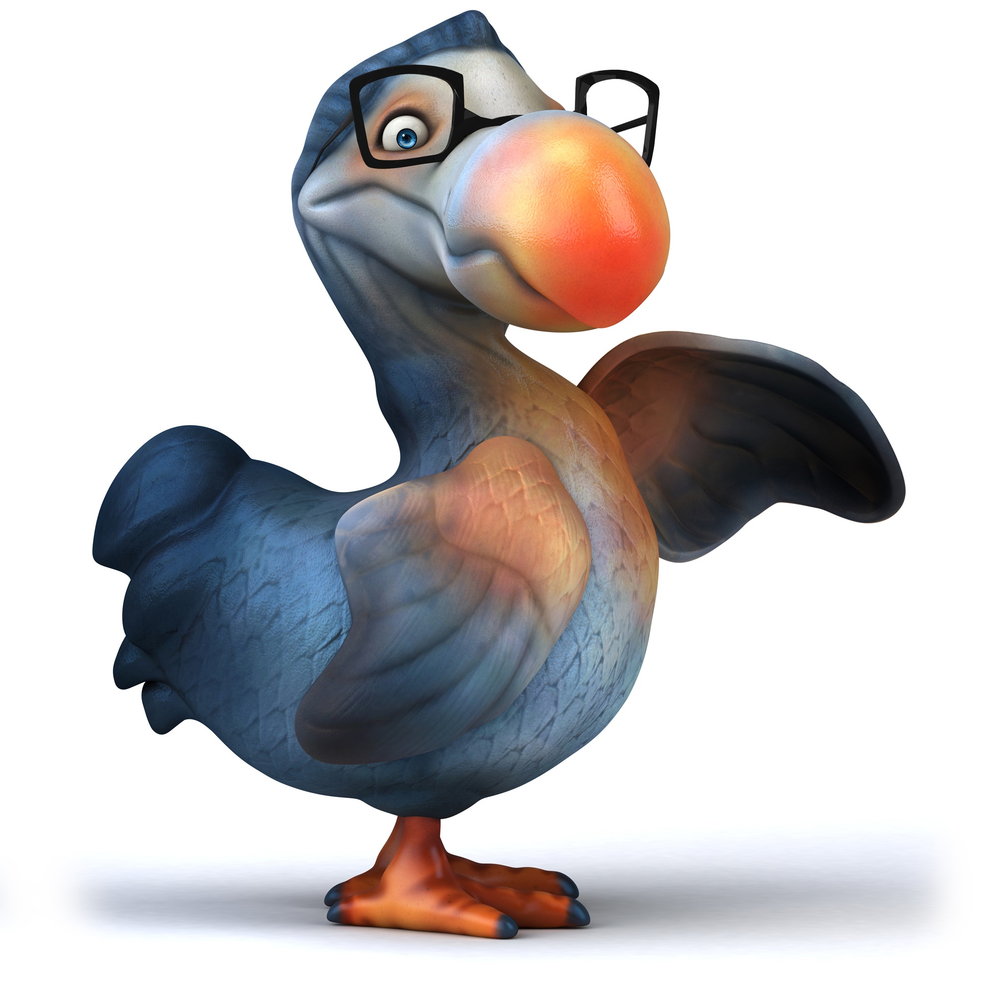 dodo bird with glasses